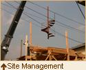 Site Management